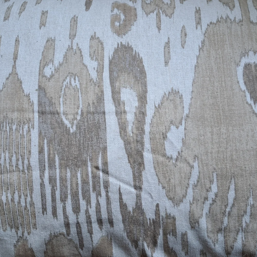 Pottery Barn Vivian Ikat Pillow Shams (2) Standard